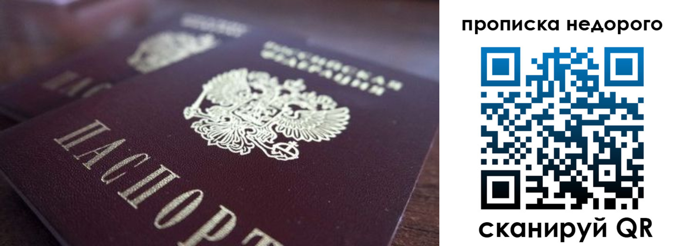прописка штамп в Жердевке